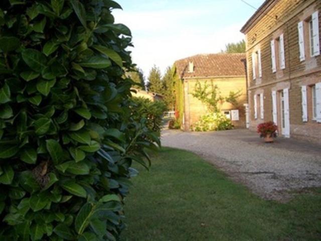 Bed and Breakfast Le Platane Lafrançaise Exteriér fotografie